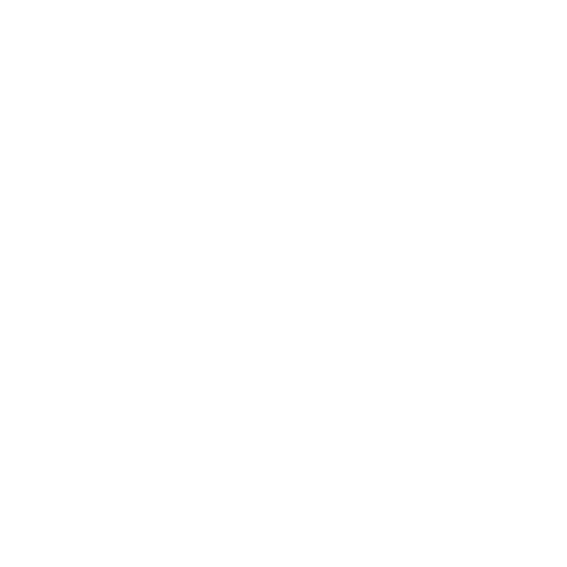 Delivery & Execution Support